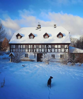 Dom pod Mandragorą, natural house AD 1800 Swieradów-Zdrój